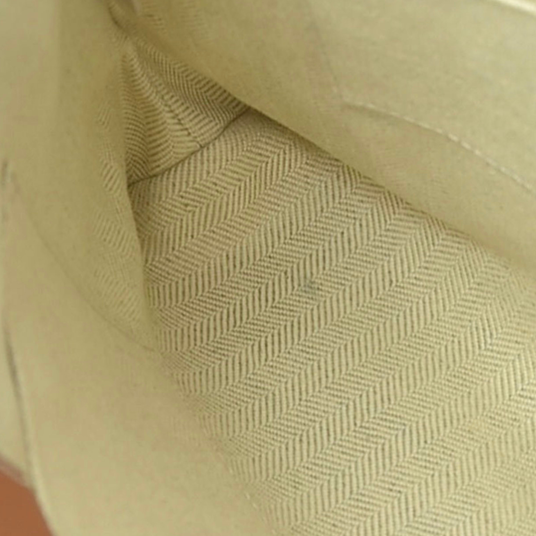 Loewe Cushion Tote Paula's Ibiza