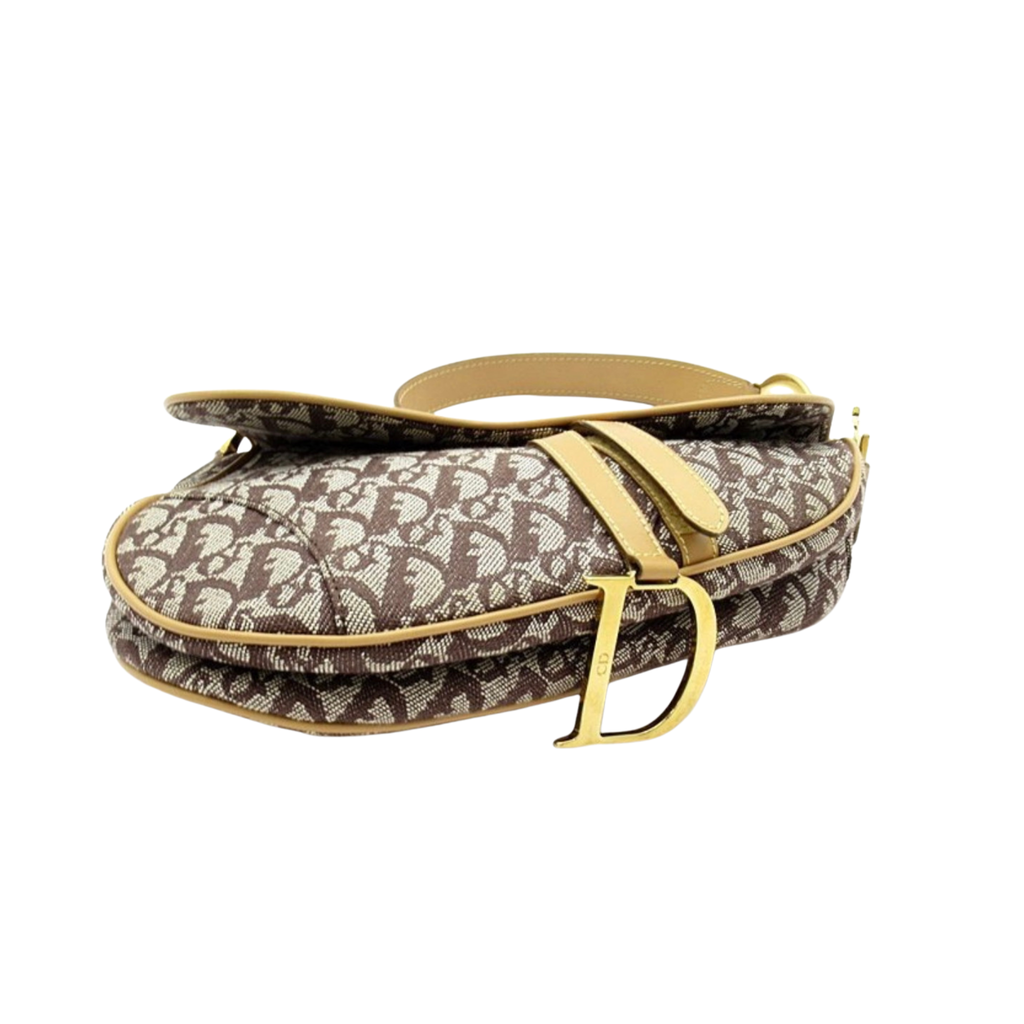 Christian Dior Saddle