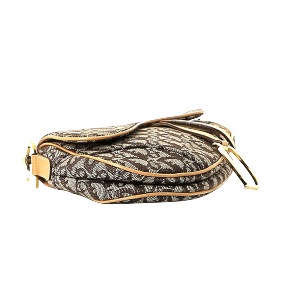 Christian Dior Saddle