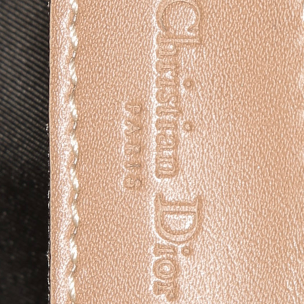 Christian Dior Saddle