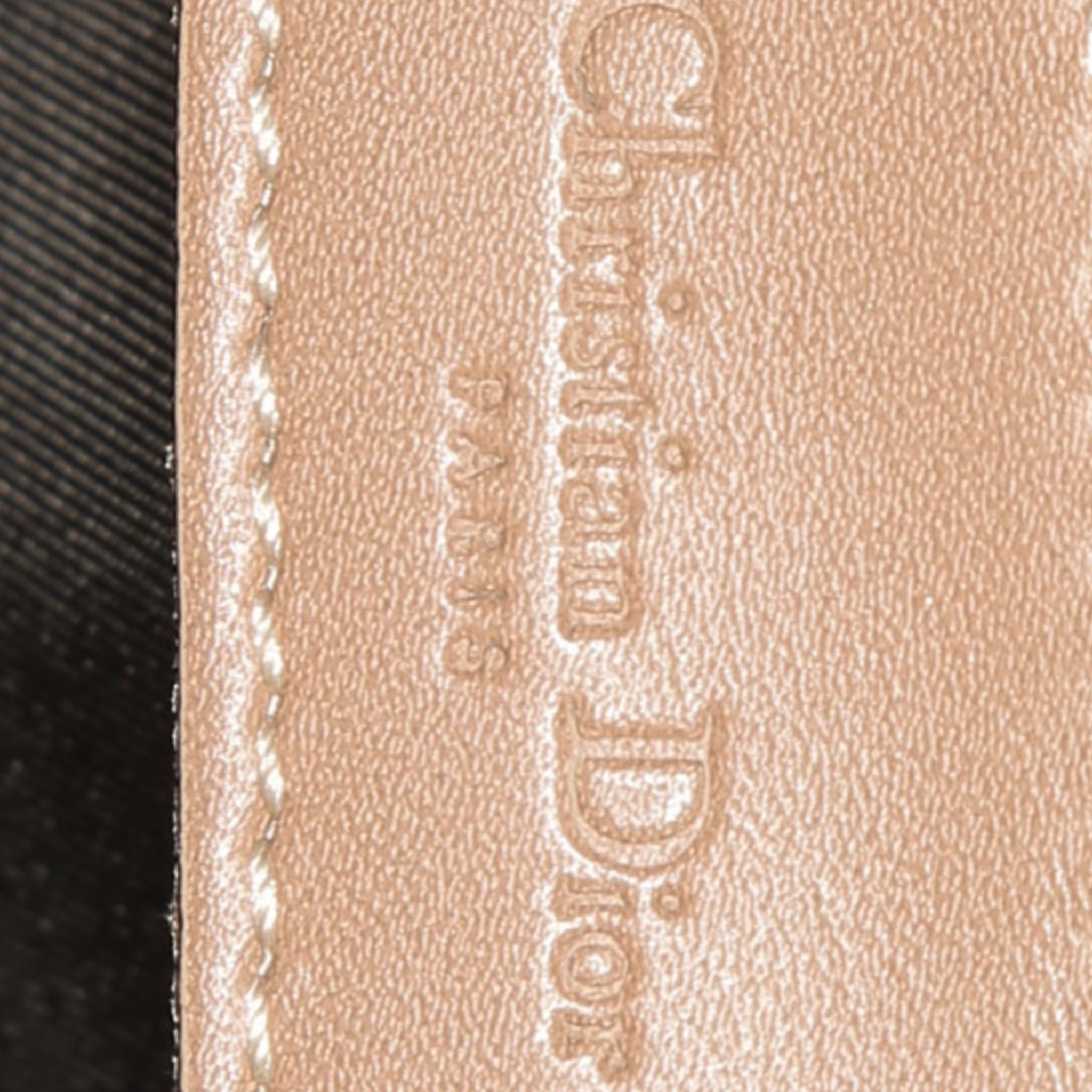 Christian Dior Saddle
