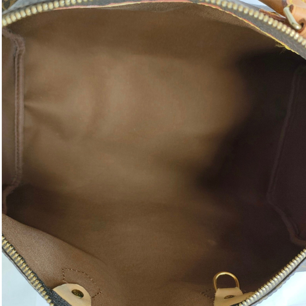 Louis Vuitton Speedy 35